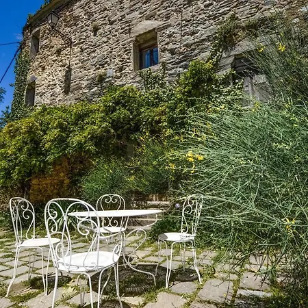 Gorgeous In Carcheto Brustico Stazzona