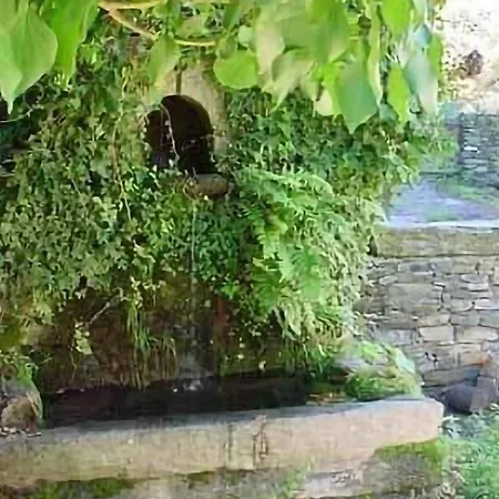 Gorgeous In Brustico *