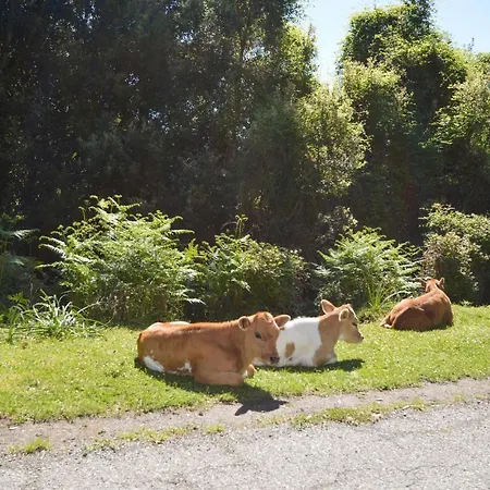 Appartement Gorgeous In Carcheto Brustico *