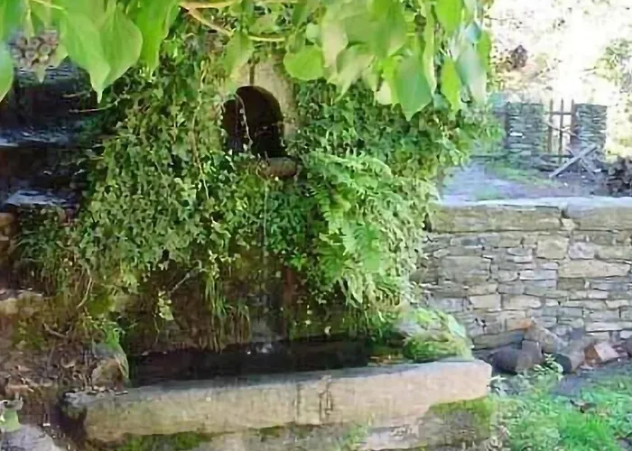 Gorgeous In Carcheto Brustico *