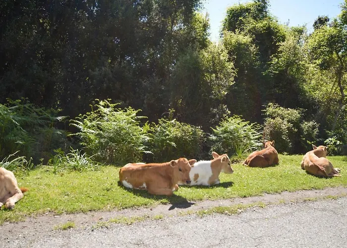 Apartmán Gorgeous In Carcheto Brustico *